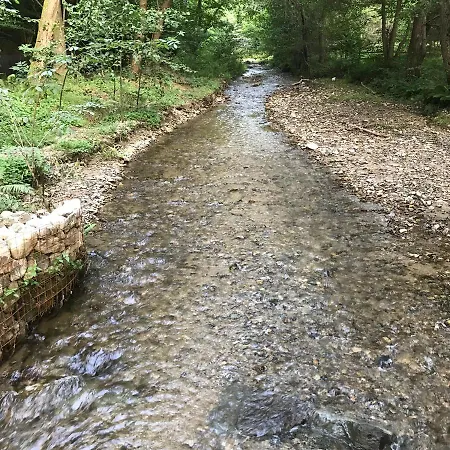 Pensiunea Valea Tonii Jaktstuga Strungari